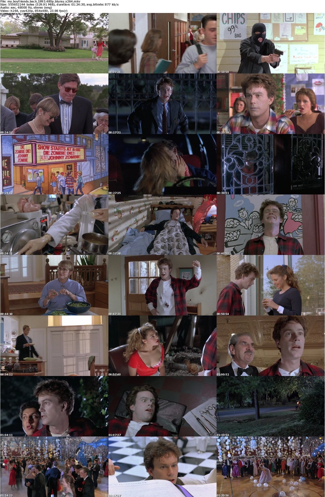 My Boyfriends Back 1993 480p BluRay x264
