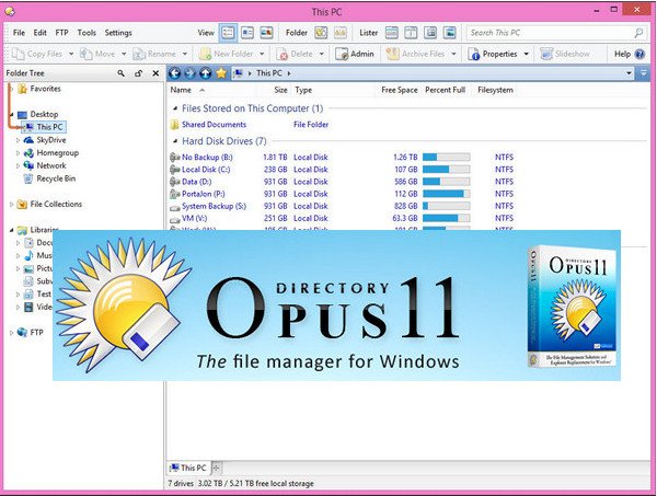 Directory Opus Pro v11.18 Build 5920 (x86/x64) Multilingual 