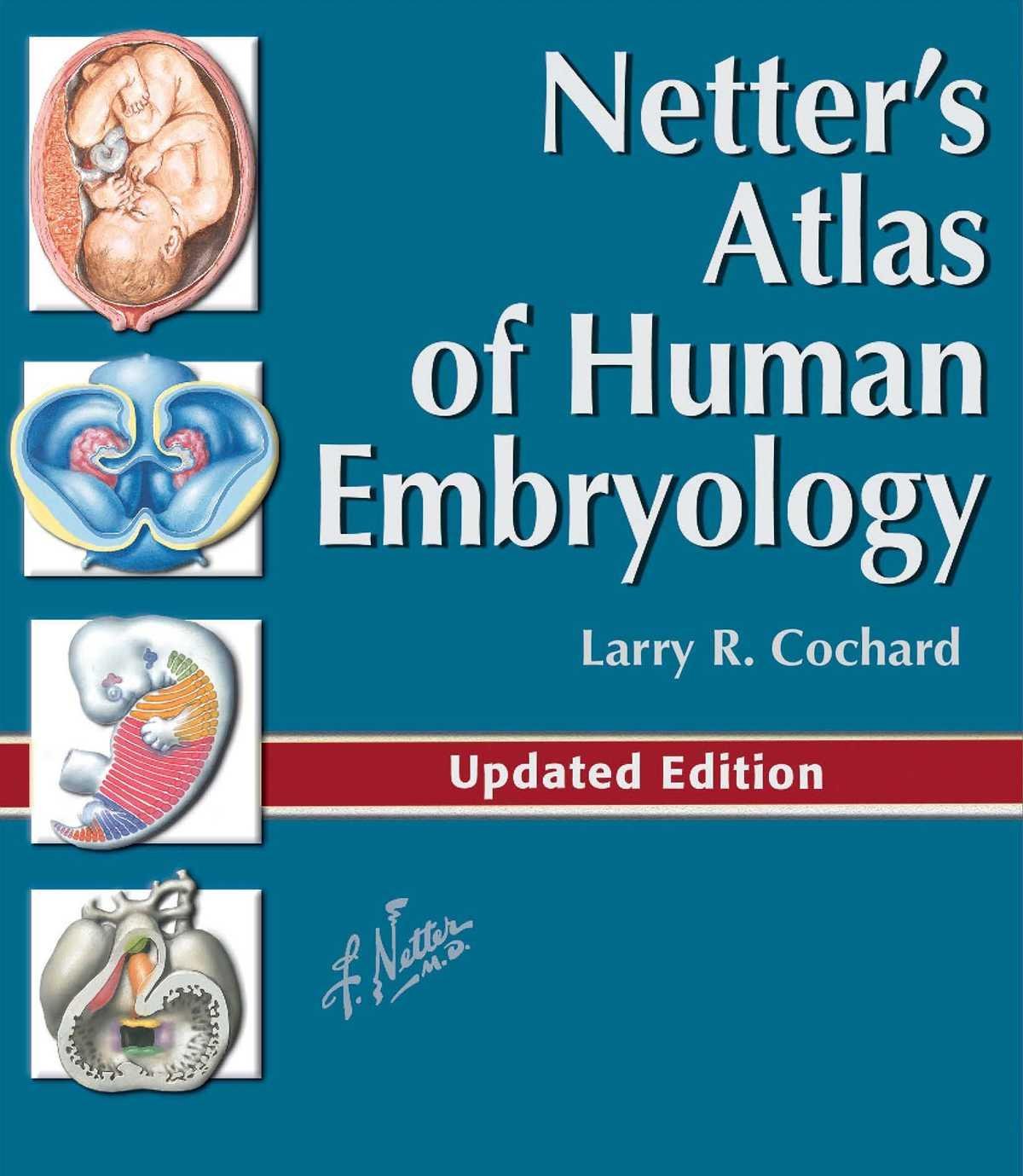 Download Netter's Atlas of Human Embryology SoftArchive