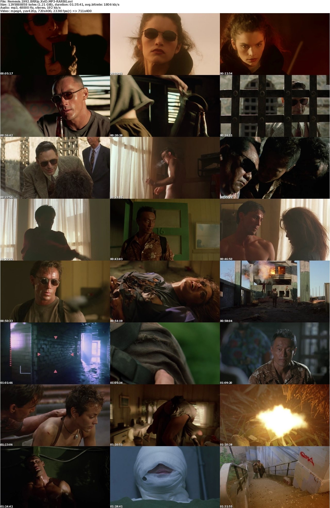 Nemesis 1992 BRRip XviD MP3-RARBG