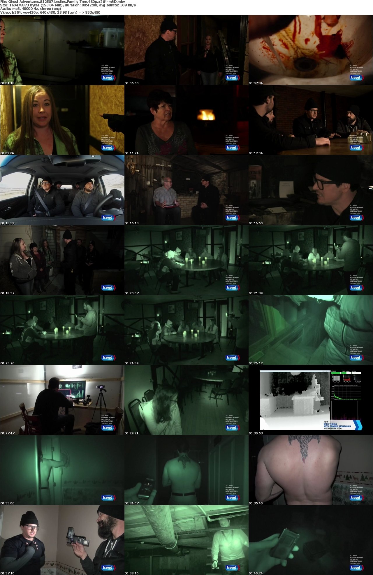 Ghost Adventures S12E07 Leslies Family Tree 480p x264-mSD