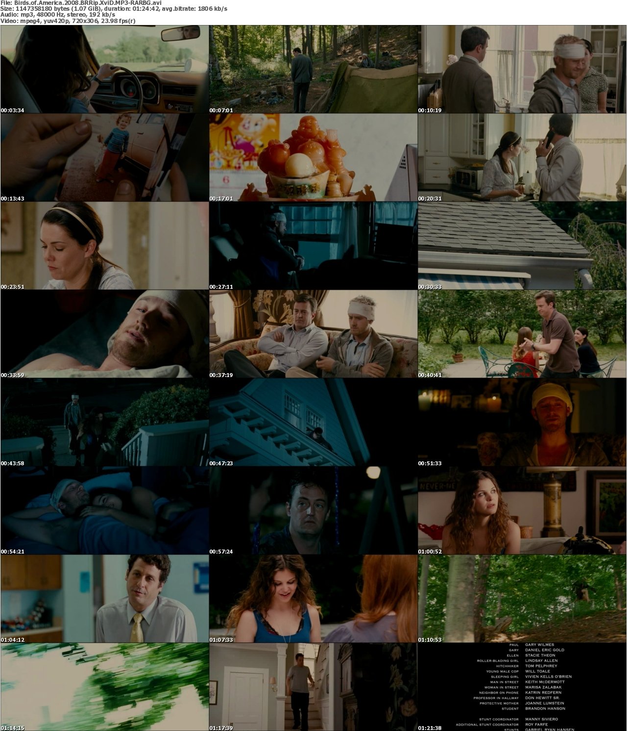 Birds of America 2008 BRRip XviD MP3-RARBG