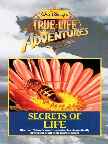 Secrets of Life (1956) PDTV x264-QCF