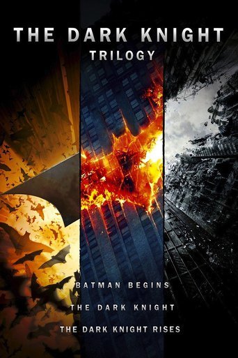 The Dark Knight 2008 PROPER 480p BluRay x264