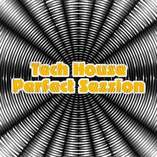 VA - Tech House Perfect Session (2016)