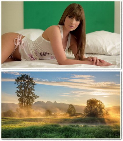 Wallpapers on a desktop 883