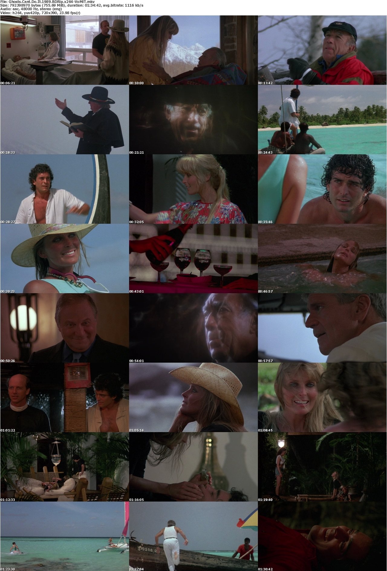 Ghosts Cant Do It 1989 BDRip x264-VoMiT