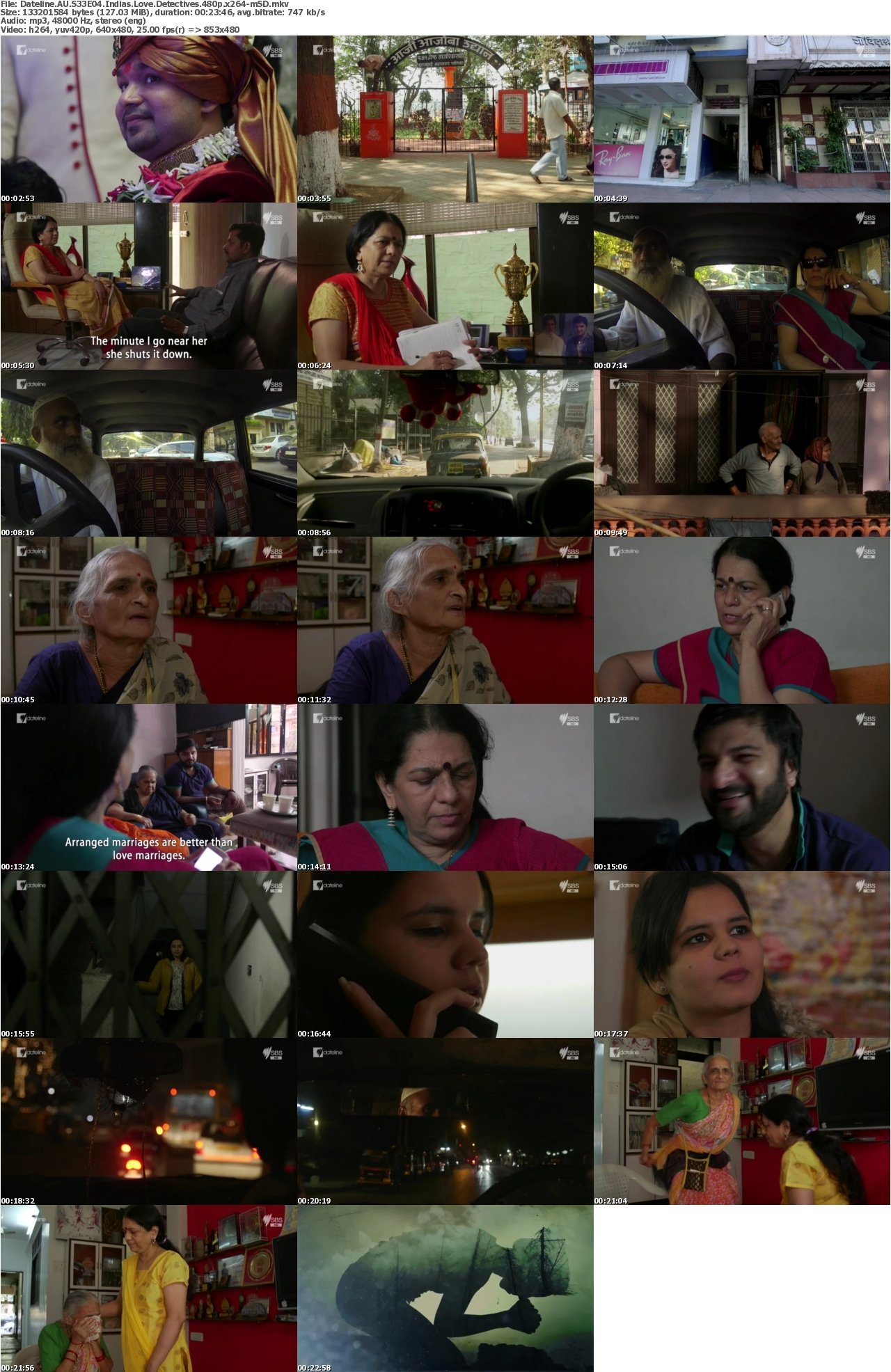 Dateline AU S33E04 Indias Love Detectives 480p x264-mSD