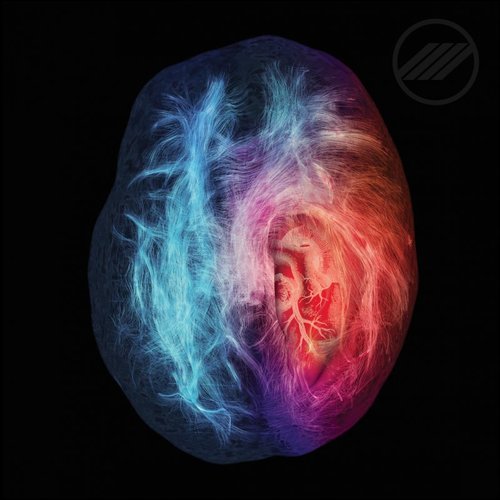 Rare Futures - This Is Your Brain On Love (2016)