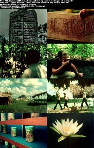 PBS - Odyssey: Maya Lords of the Jungle (1981) VHSRip x264-MVGroup
