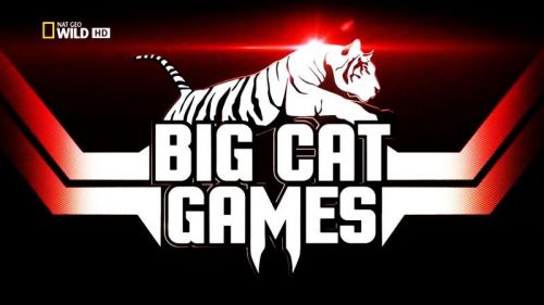 National Geographic - Big Cat Games (2016) 720p HDTV x264-ASCENDANCE
