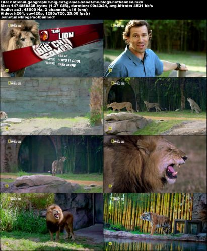 National Geographic - Big Cat Games (2016) 720p HDTV x264-ASCENDANCE