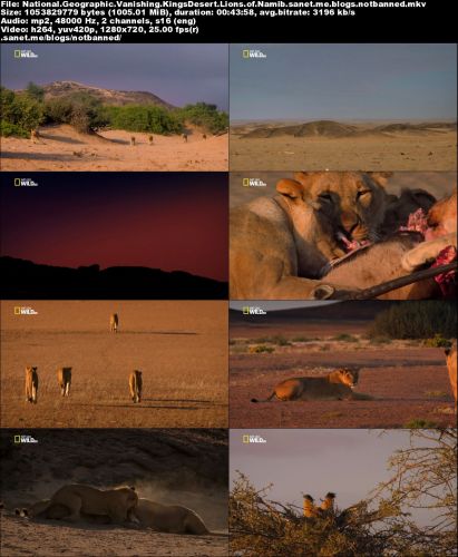 National Geographic - Vanishing Kings: Desert Lions of Namib (2016) 720p HDTV x264-CURIOSITY