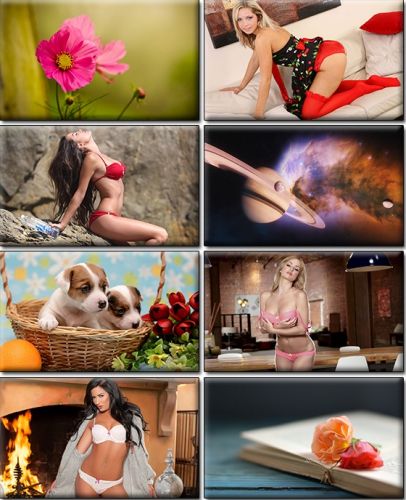 LIFEstyle News MiXture Images. Wallpapers Part (925)