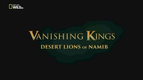 National Geographic - Vanishing Kings: Desert Lions of Namib (2016) 720p HDTV x264-CURIOSITY