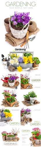 Stock Photos - Gardening, flowers and plants