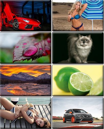 Computer Desktop Wallpapers Collection. Part (1456)