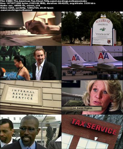 CNBC - The American Tax Cheat (2011) 720p WEBRip h264-spamTV