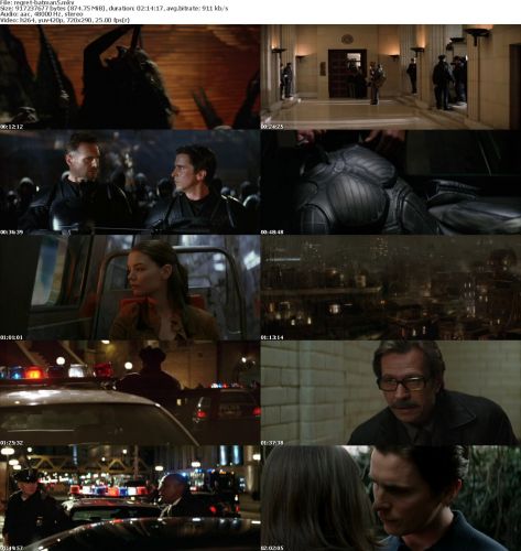 Batman Begins 2005 iNTERNAL DVDRip x264-REGRET