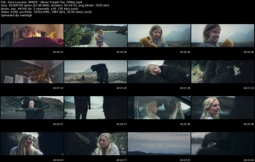 Zara Larsson, MNEK - Never Forget You (1080p)