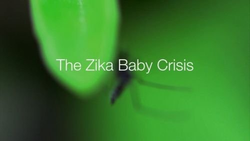 BBC - Panorama: The Zika Baby Crisis (2016) 720p HDTV x264-MVGroup