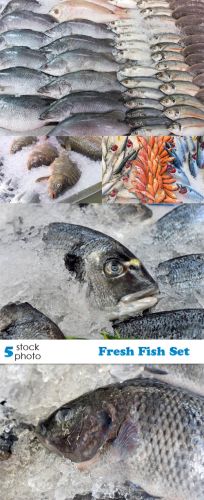 Stock Photos - Fresh Fish Set