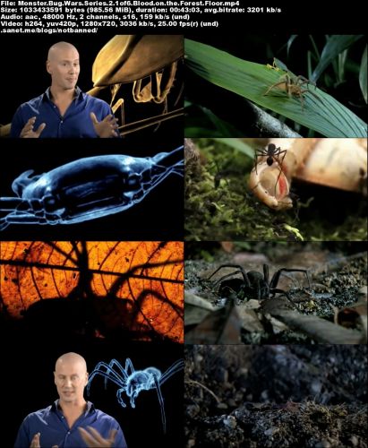Discovery Channel - Monster Bug Wars: Series 2 (2013) 720p HDTV x264-MVGroup