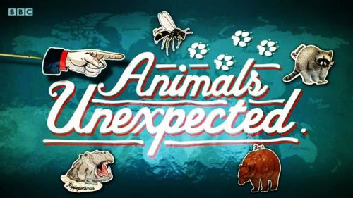 BBC - Animals Unexpected (2015) 720p HDTV x264-MVGroup