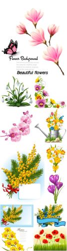 Vectors - Beautiful flowers, orchids, crocuses, snowdrops, mimosa