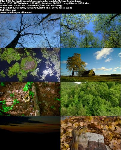 BBC - Earth's Greatest Spectacles: Series 1 (2016) 720p HDTV x264-MVGroup