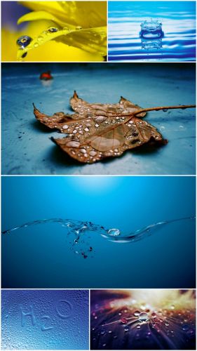 Water Drop wallpapers