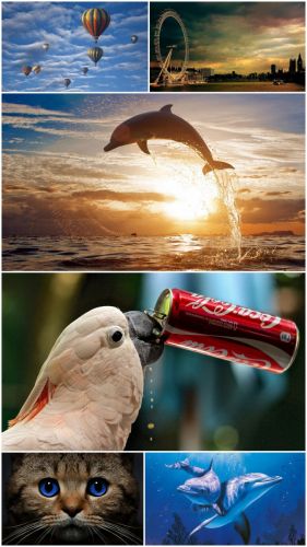 Best Mix Wallpapers (Big Pack 19)