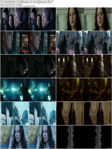 The Hunger Games Mockingjay Part 2 2015 3D 720p BluRay x264-VALUE