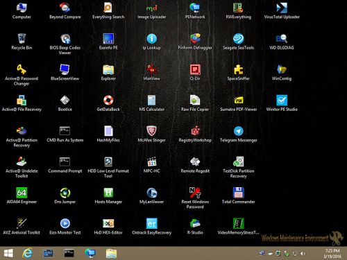 WinPE Maintenance Disk x64 v1.0 (19/03/2016)