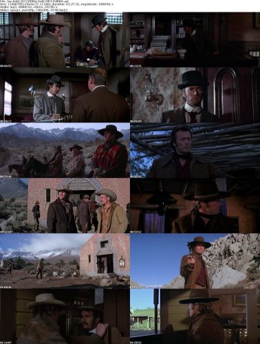 Joe Kidd 1972 BRRip XviD MP3-RARBG