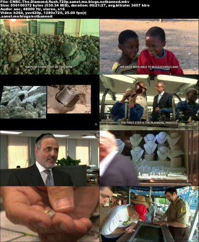 CNBC - The Diamond Rush (2016) 720p WEBRip h264-spamTV
