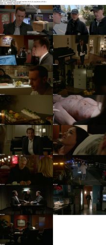 NCIS S13E17 HDTV x264-LOL