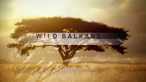 PBS - Nature: Wild Balkans (2010) 720p HDTV x264-MVGroup