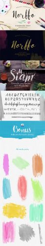 Creativemarket - Norffo Font + Watercolor Brush