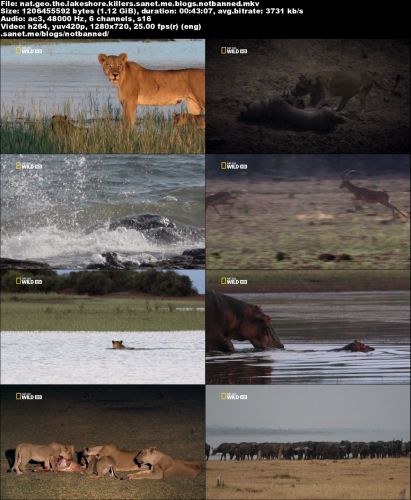 National Geographic - The Lakeshore Killers (2016) 720p HDTV x264-SQUEAK