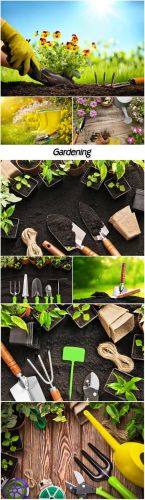 Stock Photos - Gardening, flowers and tools