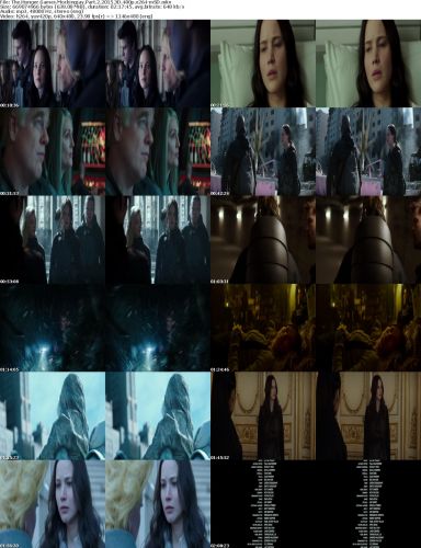 The Hunger Games Mockingjay Part 2 2015 3D 480p x264-mSD