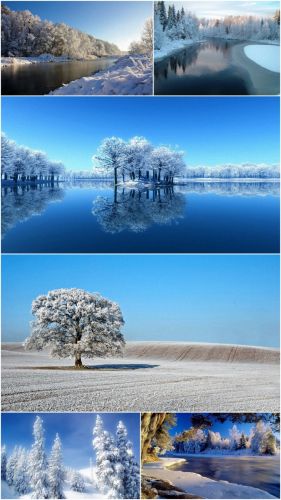Winter (Part 16)