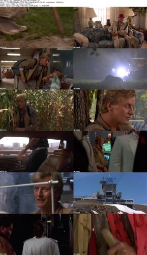 Blind Fury 1989 BRRip XviD MP3-RARBG