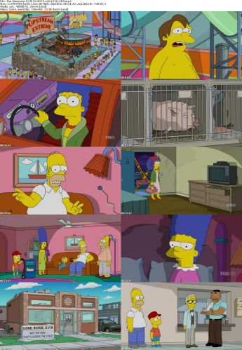 The Simpsons S27E15 HDTV x264-KILLERS