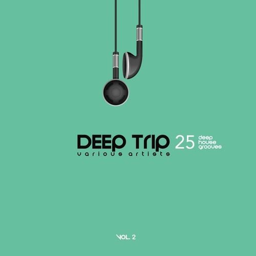 VA - Deep Trip, Vol. 2 (25 Deep House Grooves) (2016)