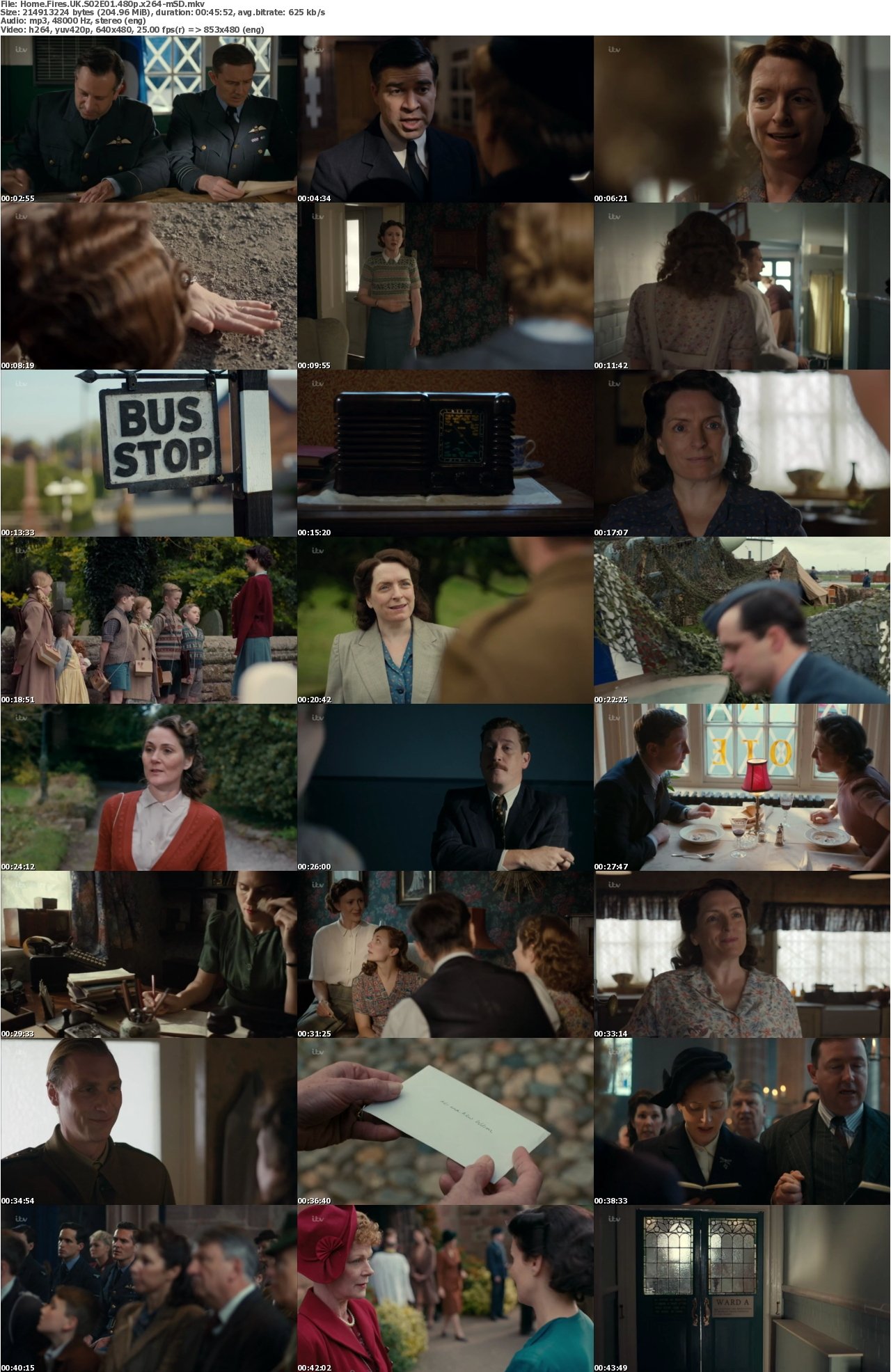 Home Fires UK S02E01 480p x264-mSD