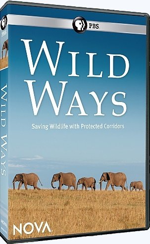 PBS Nova - Wild Ways (2016) 720p HDTV x264 AAC-Mvgroup
