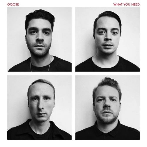 Goose - What You Need (2016) FLAC