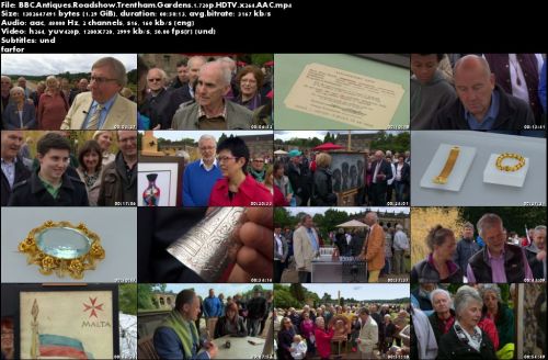 BBC Antiques Roadshow - Trentham Gardens 1 (2016)